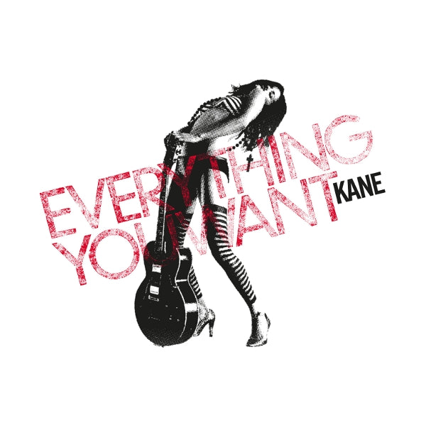 |  Vinyl LP | Kane - Everything You Want (LP) | Records on Vinyl