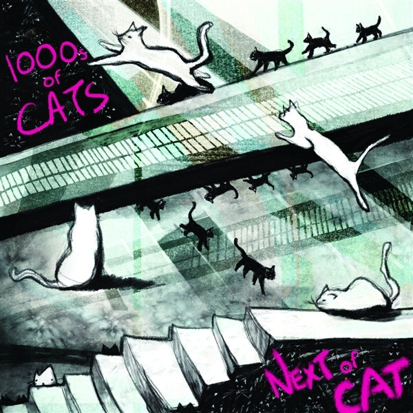 |  Vinyl LP | 1000s of Cats - Next of Cat (LP) | Records on Vinyl