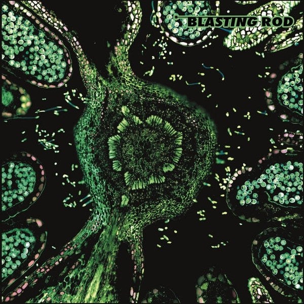 |  Vinyl LP | Blasting Rod - Of Wild Hazel (LP) | Records on Vinyl