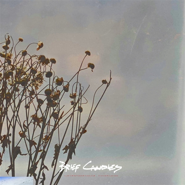 |  Vinyl LP | Brief Candles - Unfinished Nature (LP) | Records on Vinyl