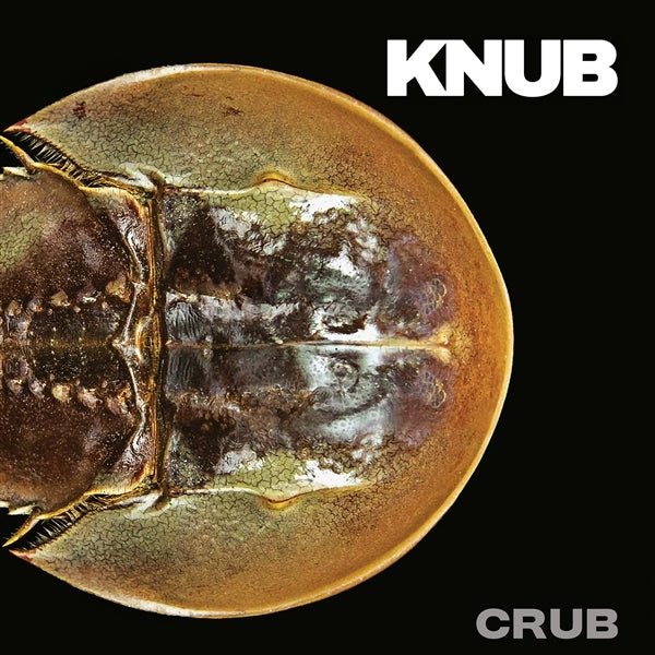 |  12" Single | Knub - Crub (Single) | Records on Vinyl