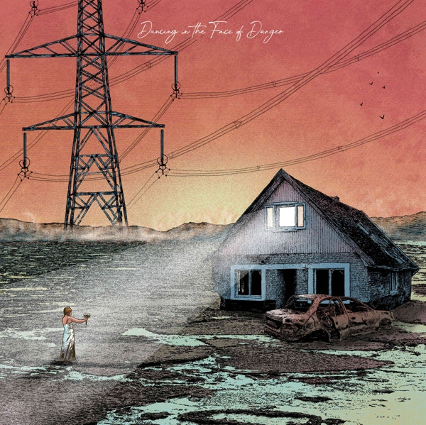 |   | Exploring Birdsong - Dancing In the Face of Danger (LP) | Records on Vinyl