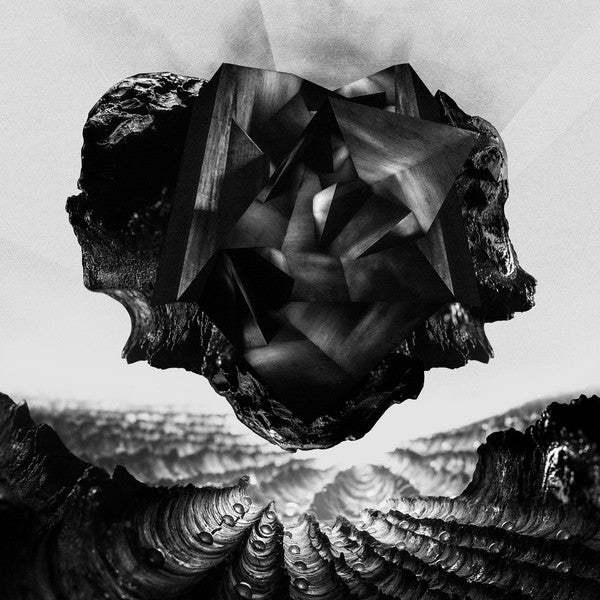 |  Vinyl LP | Farer - Monad (2 LPs) | Records on Vinyl