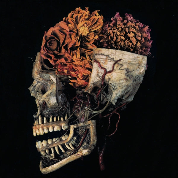 |  Vinyl LP | Kingdom - Hemeltraan (LP) | Records on Vinyl