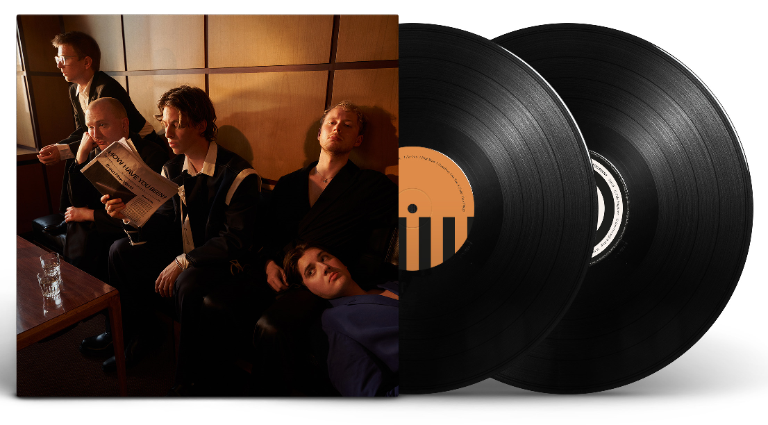 |  Vinyl LP | Giant Rooks - How Have You Been? (2 LPs) | Records on Vinyl