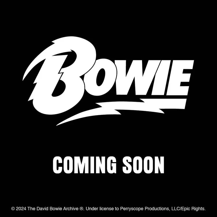 |  Calendar | David Bowie 2026 Record Sleeve Calendar | Records on Vinyl