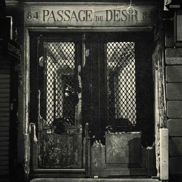 |  Vinyl LP | Johnny Blue Skies - Passage Du Desir (LP) | Records on Vinyl