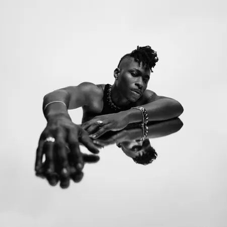 |  Vinyl LP | Lucky Daye - Algorithm (2 LPs) | Records on Vinyl