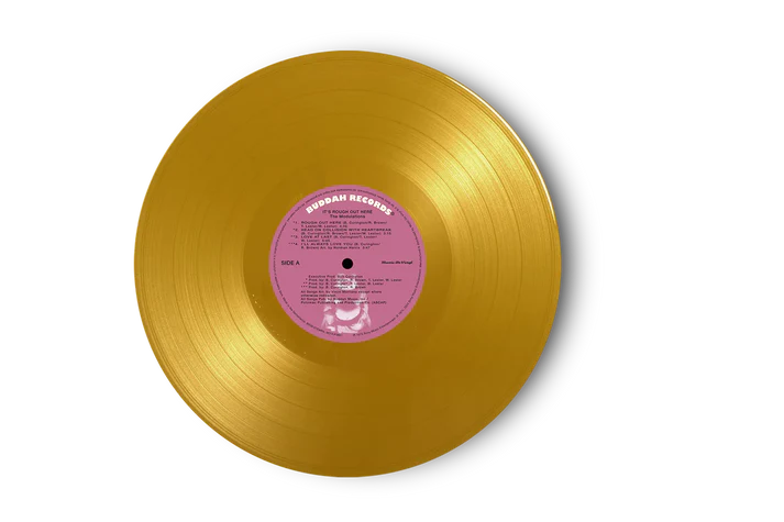 |  Vinyl LP | Modulations - It's Rough Out Here (LP) | Records on Vinyl