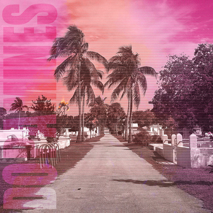 |   | Dopamines - 80/20 (LP) | Records on Vinyl
