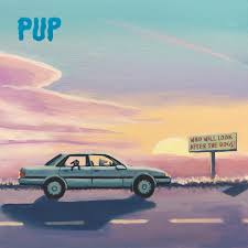 |  Vinyl LP | Pup - Who Will Look After the Dogs? (LP) | Records on Vinyl