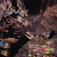 |  Vinyl LP | Joseph & Luke Ruchardson & Cleek Shrey Decosimo - Beehive Cathedral (LP) | Records on Vinyl
