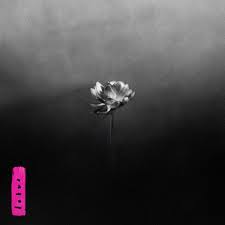 |  Vinyl LP | Little Simz - Lotus (2 LPs) | Records on Vinyl