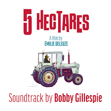 |  Vinyl LP | Bobby Gillespie - 5 Hectares (LP) | Records on Vinyl