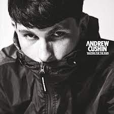 |  Vinyl LP | Andrew Cushin - Waiting For the Rain (LP) | Records on Vinyl