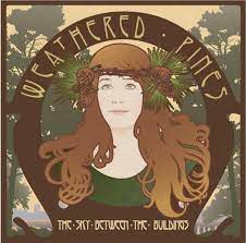 |  Vinyl LP | Weathered Pines - Sky Between the Buildings (LP) | Records on Vinyl