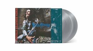 |  Vinyl LP | Busta Rhymes - When Disaster Strikes... (2 LPs) | Records on Vinyl