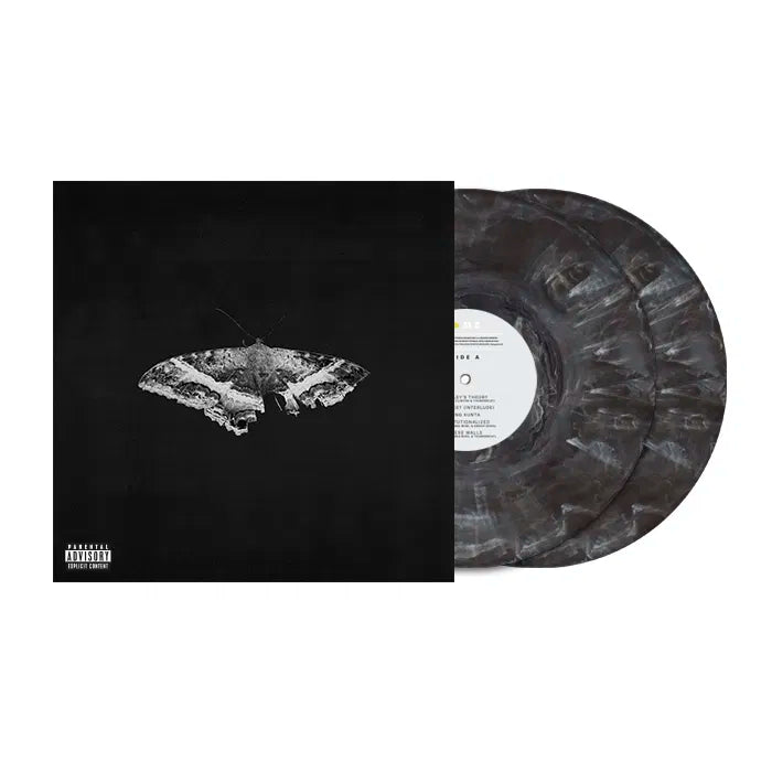 |  Vinyl LP | Kendrick Lamar - To Pimp a Butterfly (2 LPs) | Records on Vinyl
