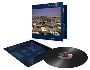 | | Pink Floyd - A Momentary Lapse of Reason (LP) | Records on Vinyl