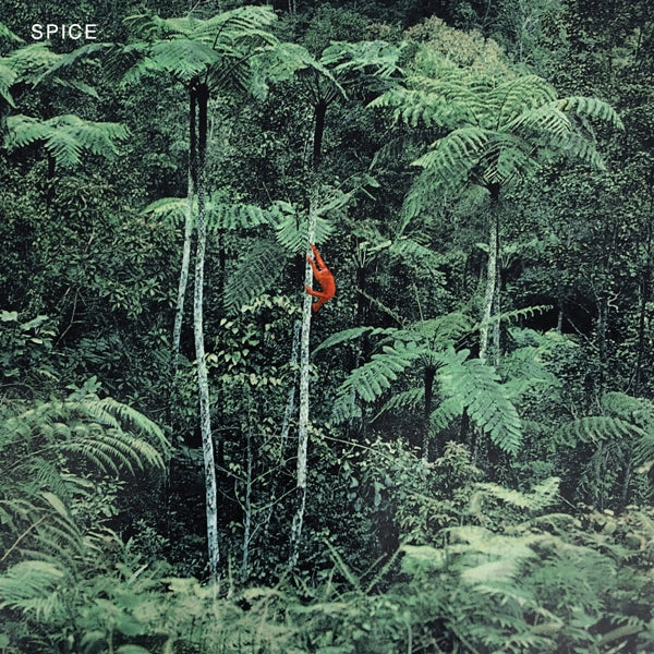 |  Vinyl LP | Spice - Spice (LP) | Records on Vinyl