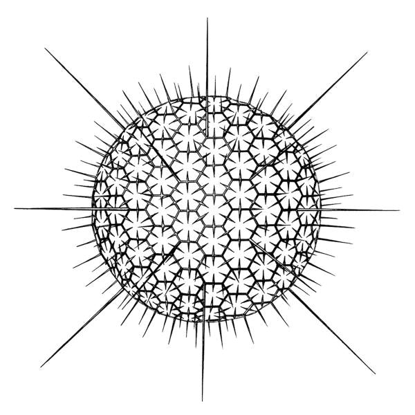 Afcgt - Afcgt  |  Vinyl LP | Afcgt - Afcgt (LP) | Records on Vinyl