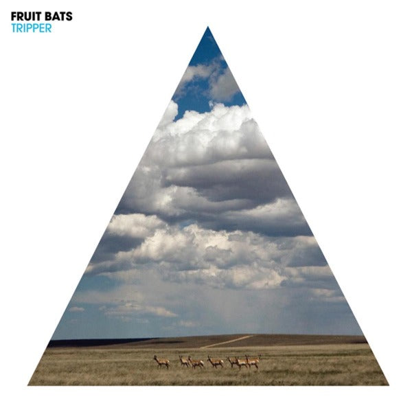 |  Vinyl LP | Fruit Bats - Tripper (LP) | Records on Vinyl