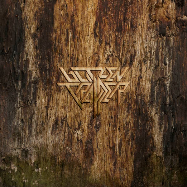 |  Vinyl LP | Blitzen Trapper - Furr (2 LPs) | Records on Vinyl