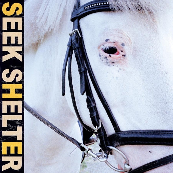 Iceage - Seek Shelter |  Vinyl LP | Iceage - Seek Shelter (LP) | Records on Vinyl