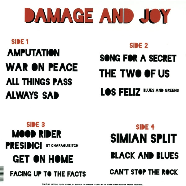 Jesus & Mary Chain - Damage And Joy |  Vinyl LP | Jesus & Mary Chain - Damage And Joy (2 LPs) | Records on Vinyl