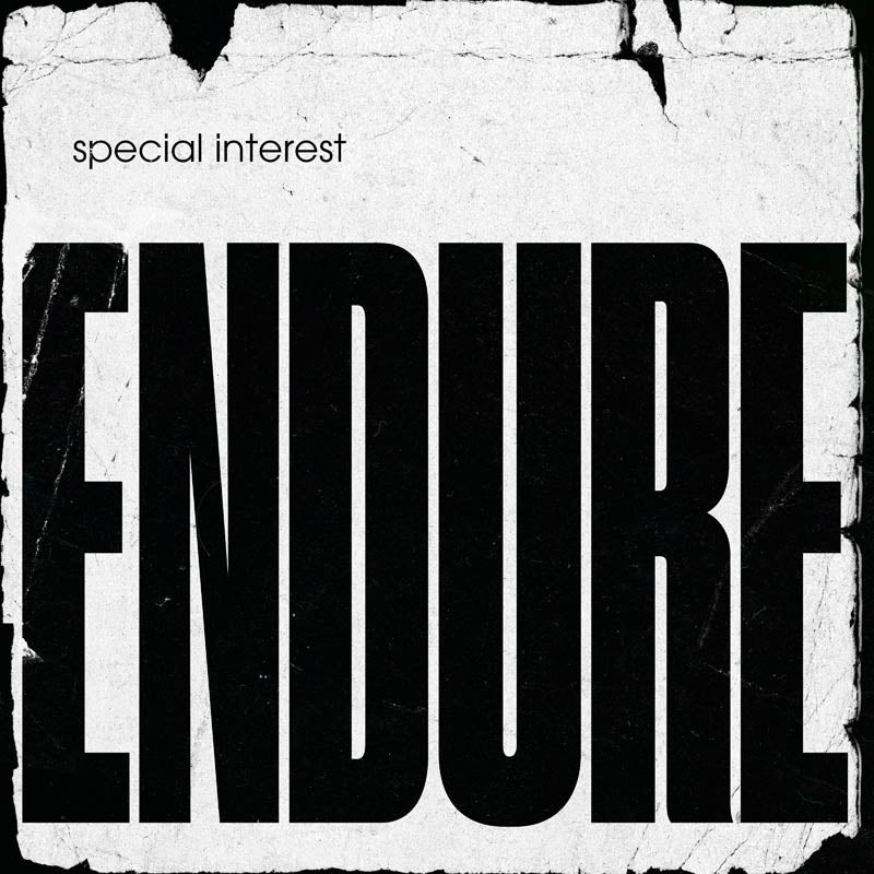 |  Vinyl LP | Orig. Italienische Kueche Alla - Endure (LP) | Records on Vinyl