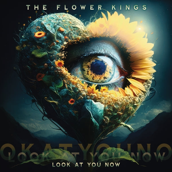 |  Vinyl LP | the Flower Kings - Look At You Now (2 LPs) | Records on Vinyl