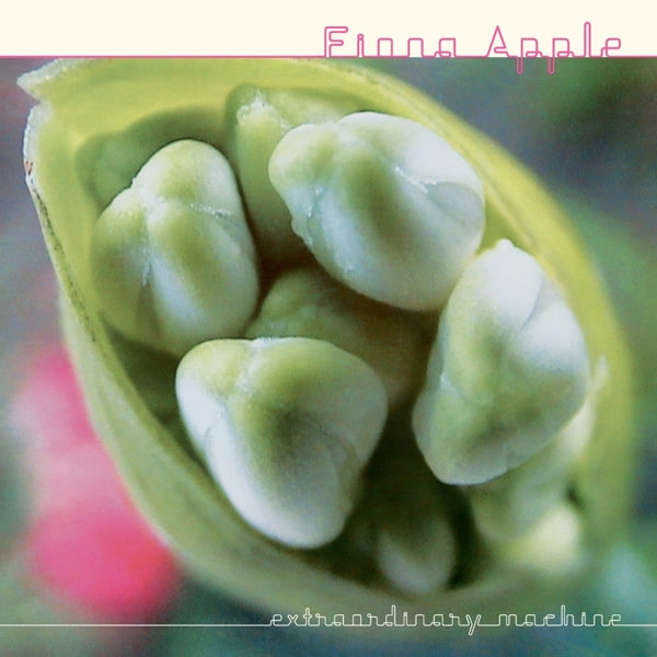 |  Vinyl LP | Fiona Apple - Extraordinary Machine (2 LPs) | Records on Vinyl