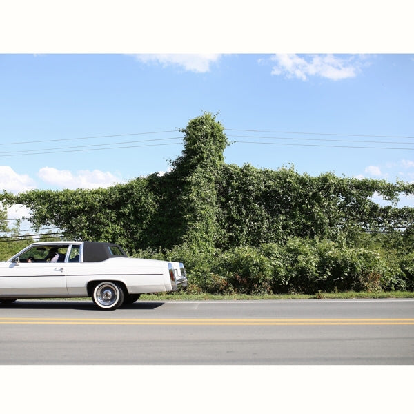 |  Vinyl LP | Cory Branan - When I Go I Ghost (LP) | Records on Vinyl
