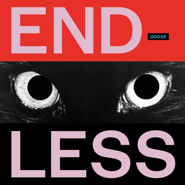 |  Vinyl LP | Goose - Endless (2 LPs) | Records on Vinyl