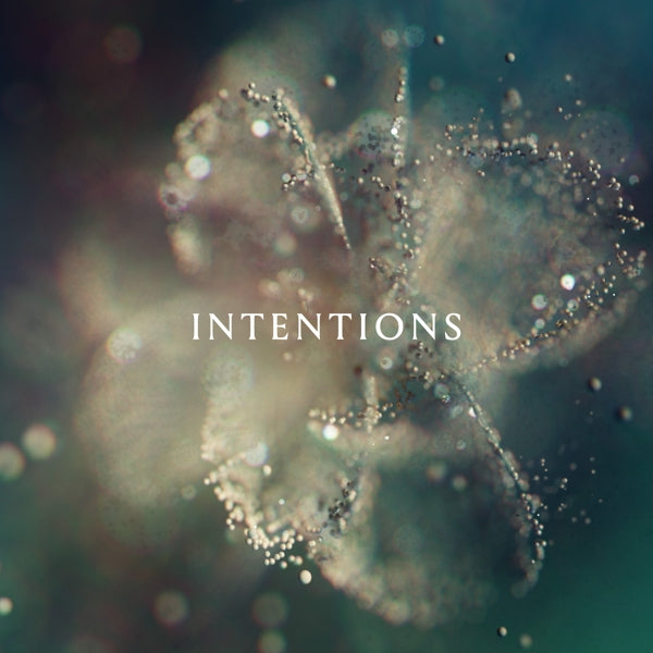 |  Vinyl LP | Anna - Intentions (2 LPs) | Records on Vinyl