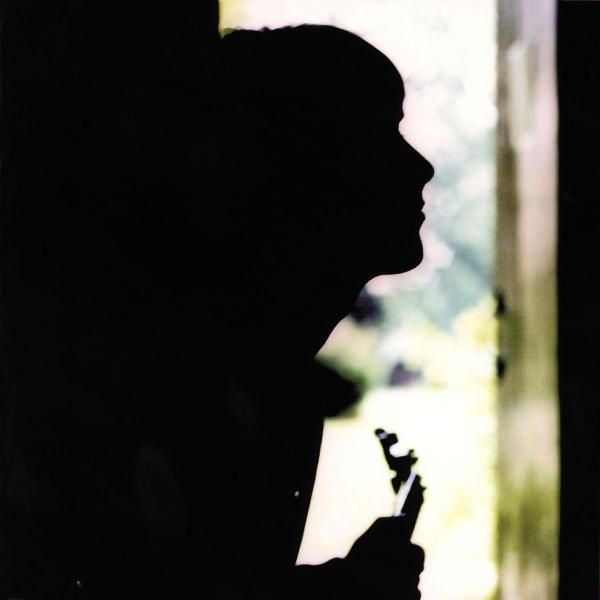 Paul Weller - Wild Wood  |  Vinyl LP | Paul Weller - Wild Wood (LP) | Records on Vinyl
