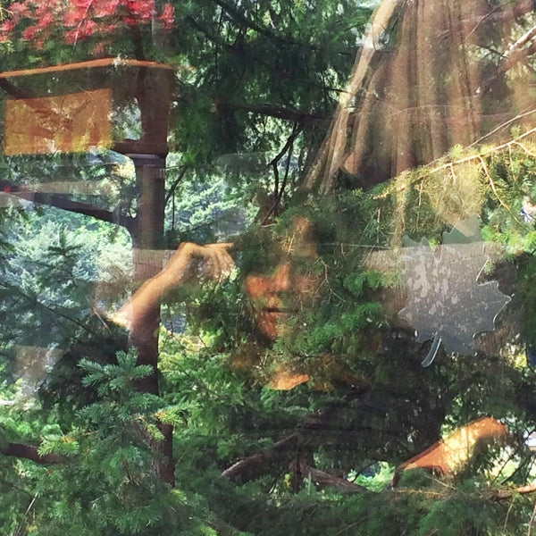 Jennifer Castle - Angels Of Death |  Vinyl LP | Jennifer Castle - Angels of Death (LP) | Records on Vinyl