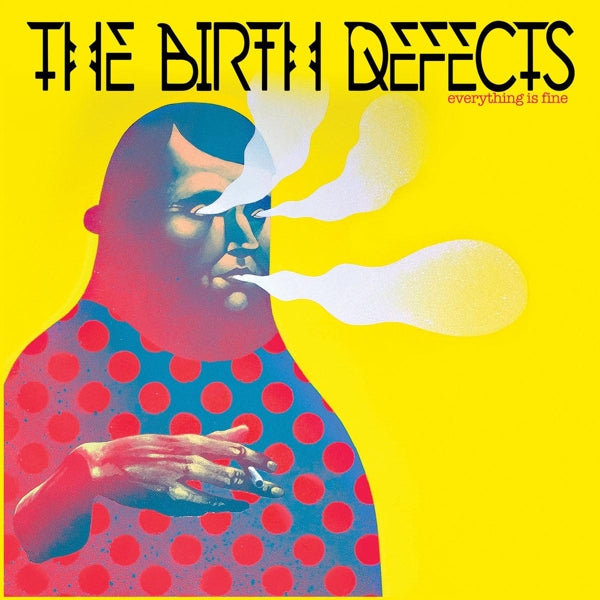 Birth Defects - Everything..  |  Vinyl LP | Birth Defects - Everything In Fine (LP) | Records on Vinyl