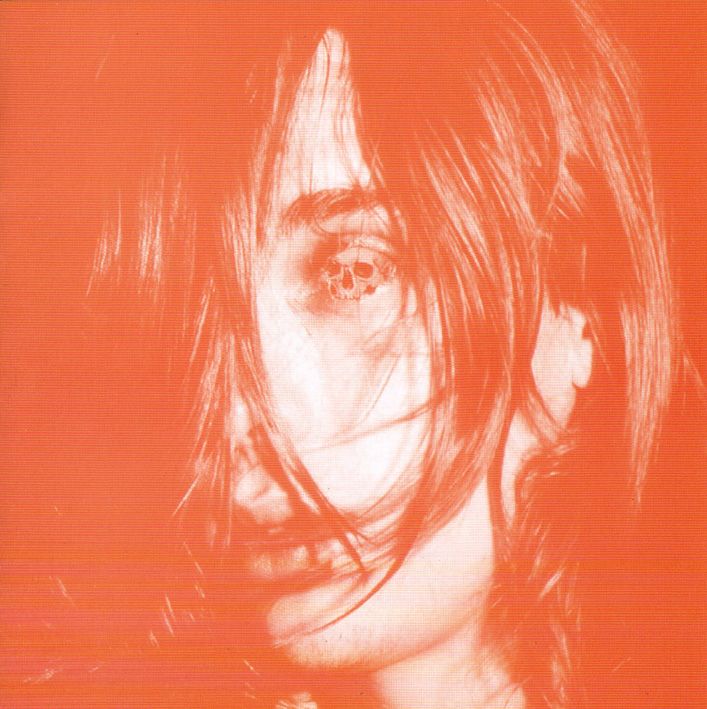 Deerhunter - Microcastle/Weird Era.. |  Vinyl LP | Deerhunter - Microcastle/Weird Era Continued (2 LPs) | Records on Vinyl