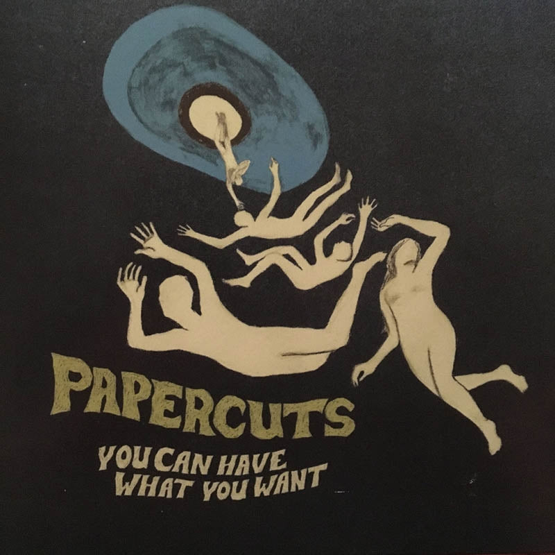 |  Vinyl LP | Papercuts - You Can Have What You Want (LP) | Records on Vinyl