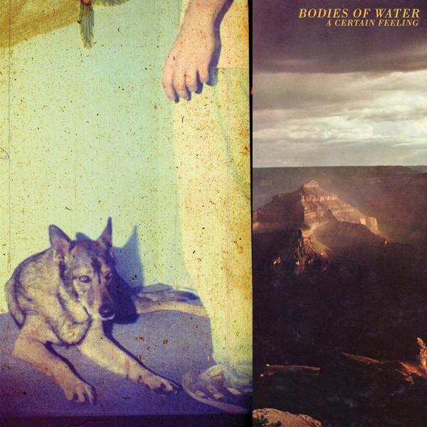Bodies Of Water - A Certain Feeling |  Vinyl LP | Bodies of Water - A Certain Feeling (LP) | Records on Vinyl