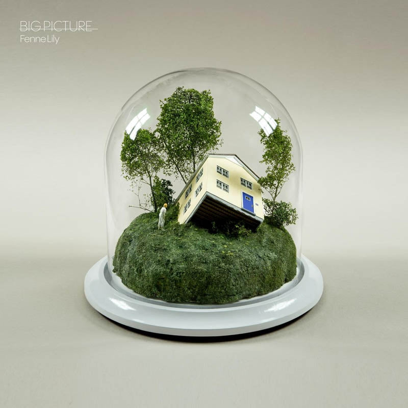 |  Vinyl LP | Fenne Lily - Big Picture (LP) | Records on Vinyl