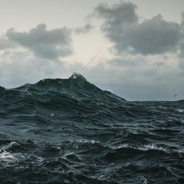 Volcano Choir - Repave |  Vinyl LP | Volcano Choir - Repave (LP) | Records on Vinyl