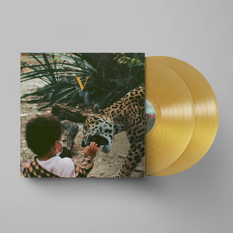 |  Vinyl LP | Unknown Mortal Orchestra - V (2 LPs) | Records on Vinyl