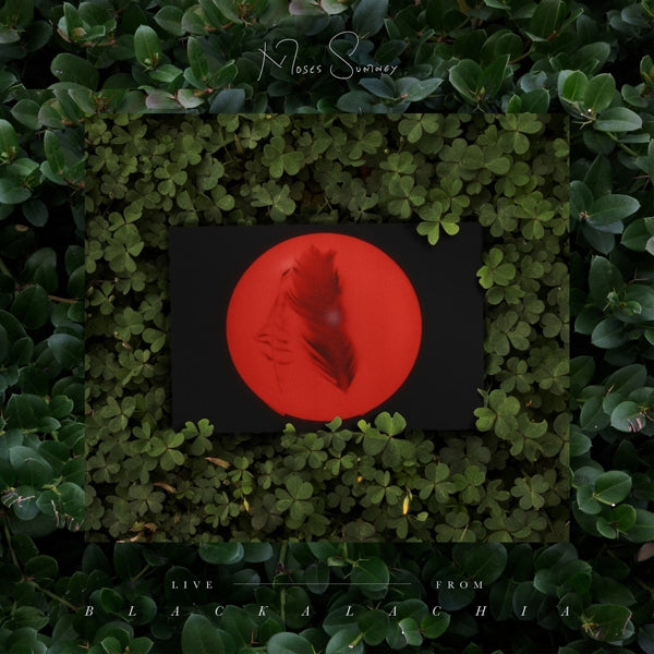 |  Vinyl LP | Moses Sumney - Live From Blackalachia (2 LPs) | Records on Vinyl