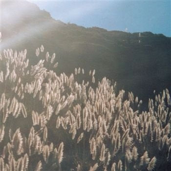 Blithe Sons - Great Orthochromatic.. |  Vinyl LP | Blithe Sons - Great Orthochromatic Wheel (LP) | Records on Vinyl