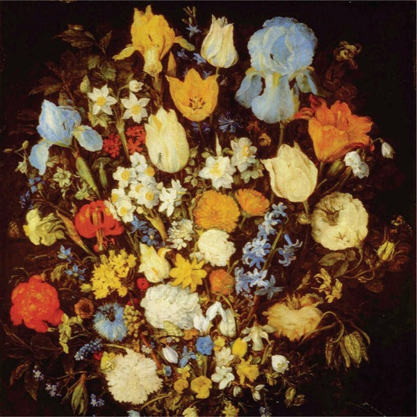 Young Moon - Navigated Like The Swan |  Vinyl LP | Young Moon - Navigated Like the Swans (LP) | Records on Vinyl