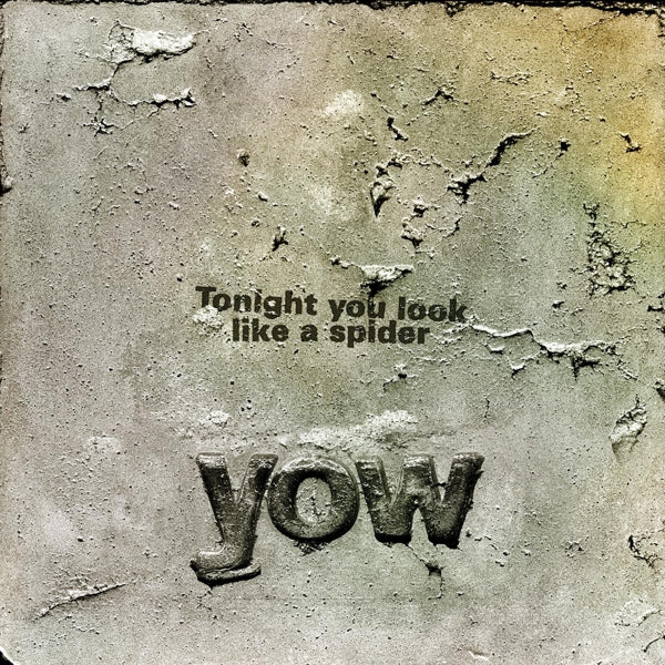 David Yow - Tonight You Look Like A.. |  Vinyl LP | David Yow - Tonight You Look Like a Spider (LP) | Records on Vinyl