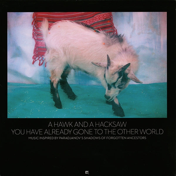 A Hawk And A Hacksaw - You Have Already Gone.. |  Vinyl LP | A Hawk and a Hacksaw - You Have Already (2 LPs) | Records on Vinyl