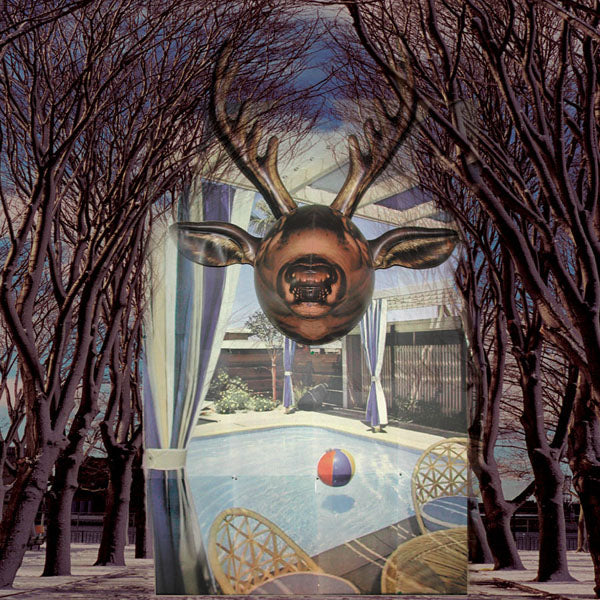 Hall Of Fame - Paradise Now |  Vinyl LP | Hall of Fame - Paradise Now (LP) | Records on Vinyl
